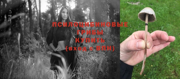 амфетамин Арсеньев