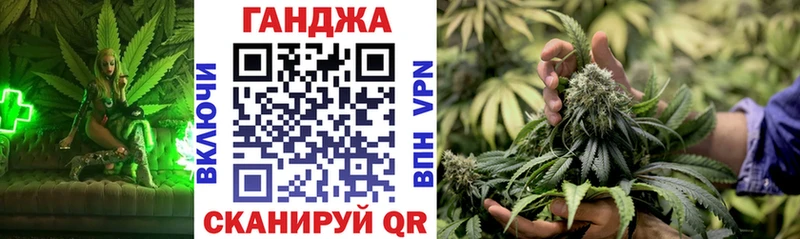 даркнет сайт  Сосновый Бор  Бошки марихуана SATIVA & INDICA 